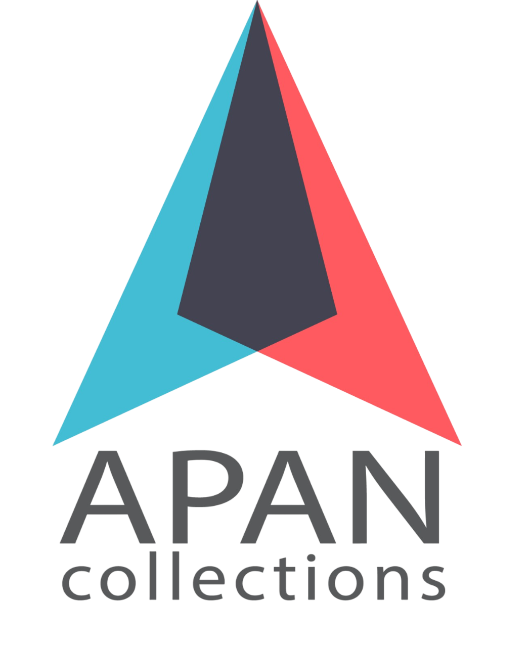 APAN Logo